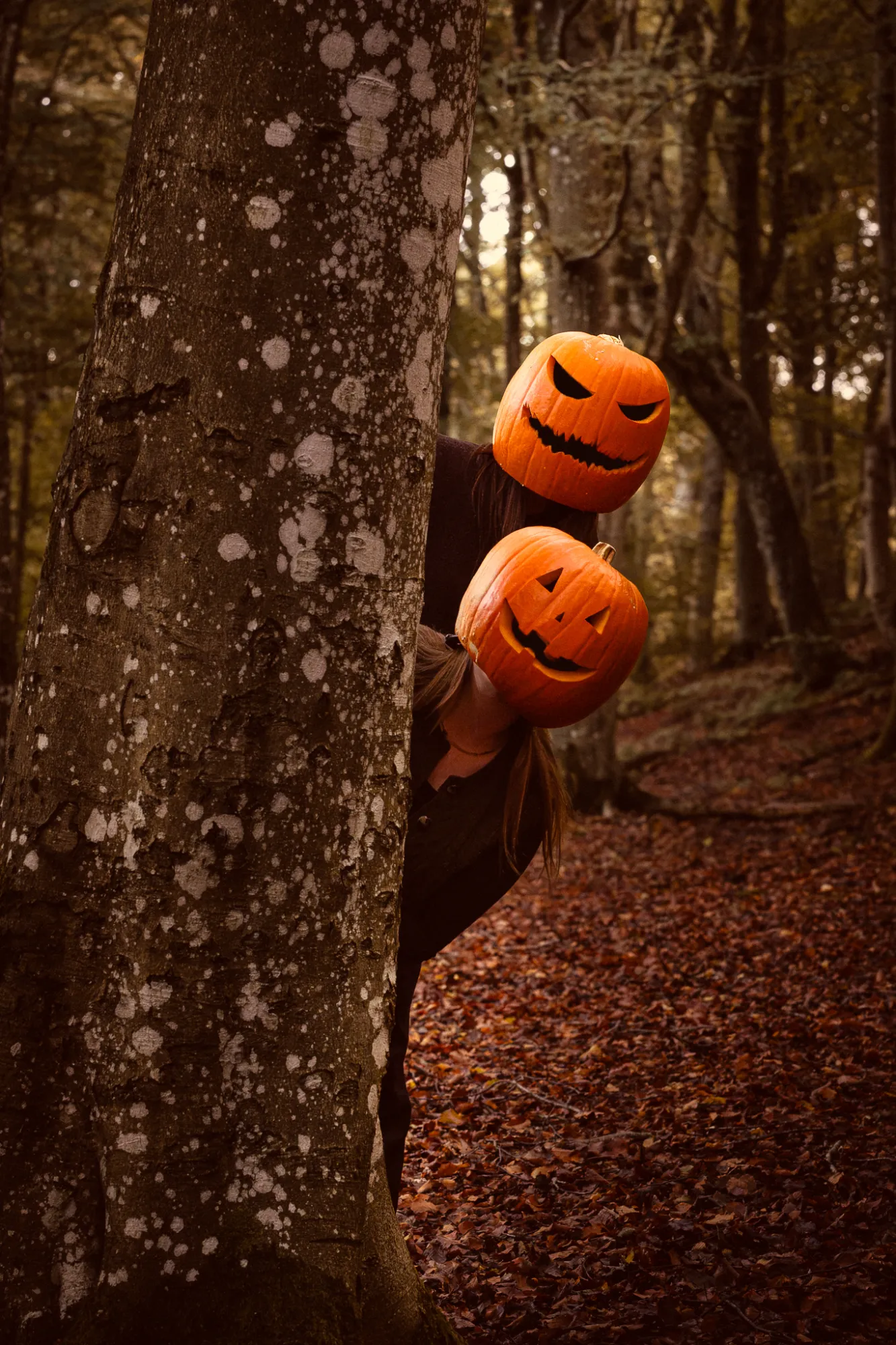 Halloween-fotoshoot med græskarhoveder i skoven